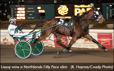 Hoerdt And His Filly Foursome