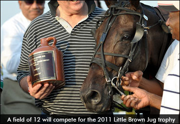Little Brown Jug Gets 12 Colts