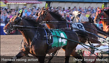 Pari-Mutuel Tax Reduction Revised