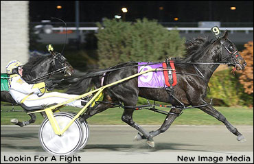 Lookin For A Fight Upsets In Autumn Final