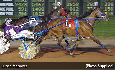 "Lucan" Like A Sure Thing