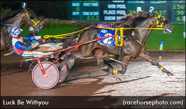 Luck Be Withyou Debuts
