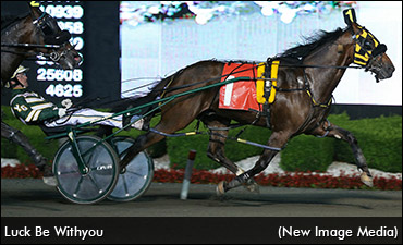 Luck Be Withyou Wins Again