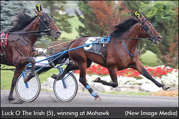 More Than 'Luck' Propels Gold Win