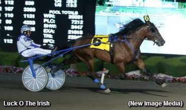 Durands High On Luck O The Irish