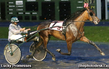 Seven Straight For Lucky Promesses