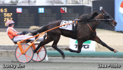 Lid Lifts On Horse & Groom Series