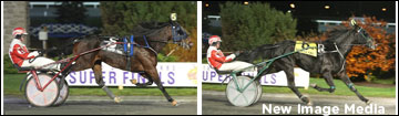 MacDonell Talks Trotters