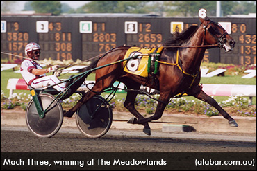 Mach Three Euthanized In NZ