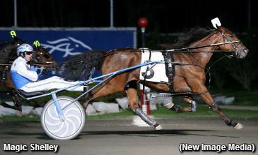 ‘Magic’ Show In Celias Counsel