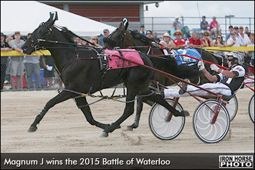 Magnum J Wins Battle Of Waterloo