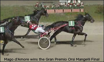 Explosive Matter Defeated In Italy