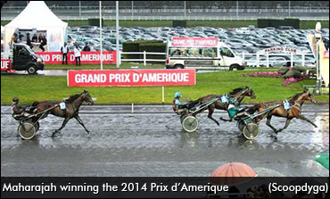 Maharajah Wins Prix d'Amerique