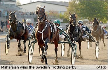 New World Record In Swedish Trotting Derby