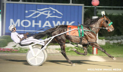 Daley On Major In Art Injury