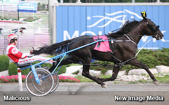 Malicious Dominates In Dream Maker 