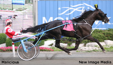 Moore, MacDonell, Malicious Metro-Bound