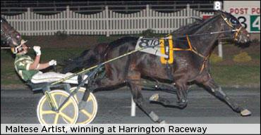 Maltese Artist Euthanized