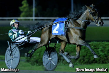 Rookie Trotters All The Rage