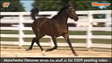 Coleman High On Manchester Hanover