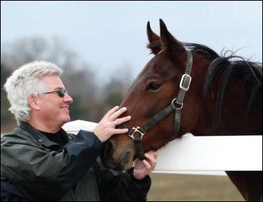 There’s A Horse For Everyone!