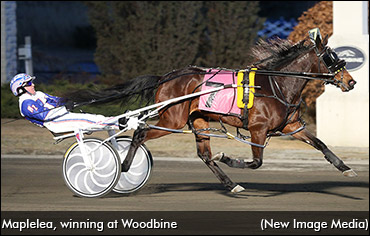 Blossom Underway At Woodbine