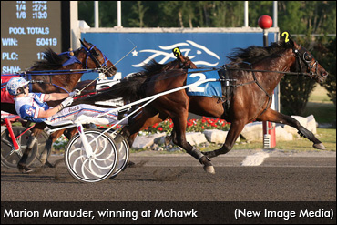 Ontario's Hambletonian Marauders