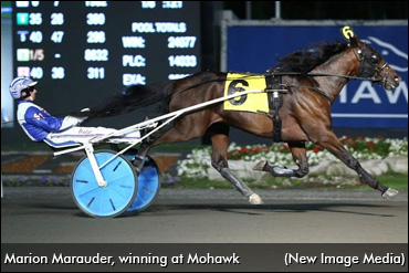 Marion Marauder To Kentucky Futurity
