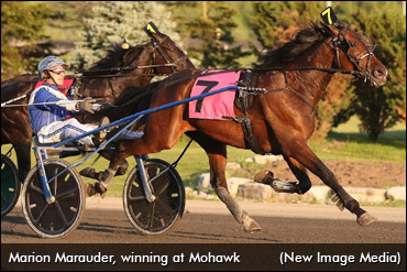 Champs, Rookies Qualify At Mohawk