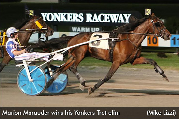 Marion Marauder Wins At Yonkers