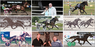 Harness Racing's Marvelous Moms