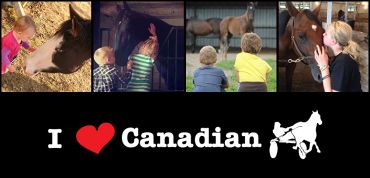 'Horsin' Around' Deadline Today