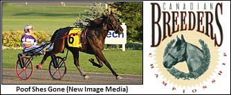 'Silk,' 'Poof' Headline CBC Elims