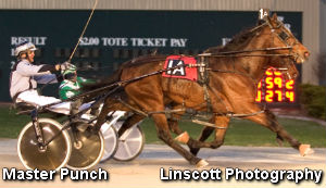 Master Punch Still Undefeated