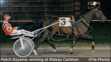 Match Bayama Euthanized