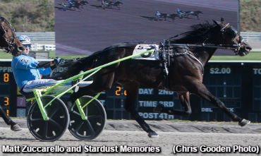 Zuccarello Clicks In Billings Trot