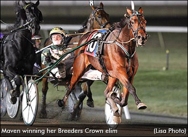 Maven, Gingras To Reunite In France