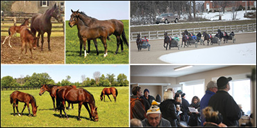 Great Ways To Spend Mother’s Day!