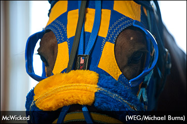 McWicked Back, With New Trainer