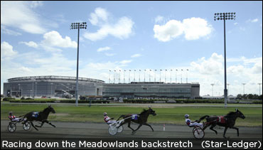 Show Your Support For The Meadowlands