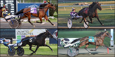 Stars Out Saturday At Meadowlands