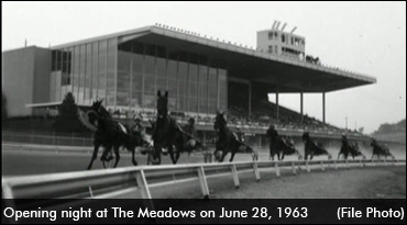50 Years At The Meadows