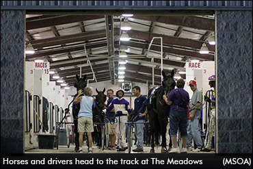 Casino Gaming Impact On Purses