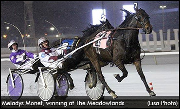 No Elitloppet For Meladys Monet