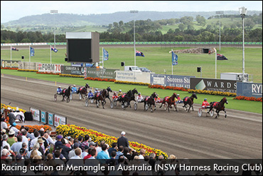 Australia To Ban Whips