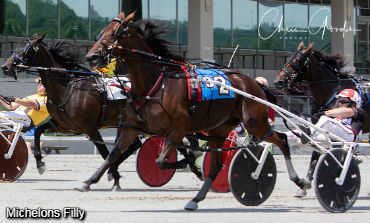 Michelons Filly Impresses In Debut