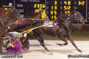 Dayton's Top Trot To Milfords Z Tam