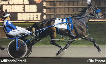 What's In A Name Winner