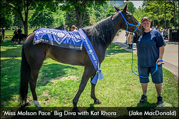 Fans Pick Miss Molson Pace