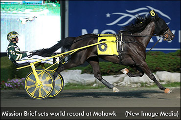 Burke's Filly On A Mission